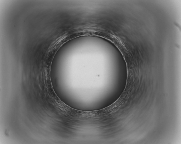 X0000091531159200708170944