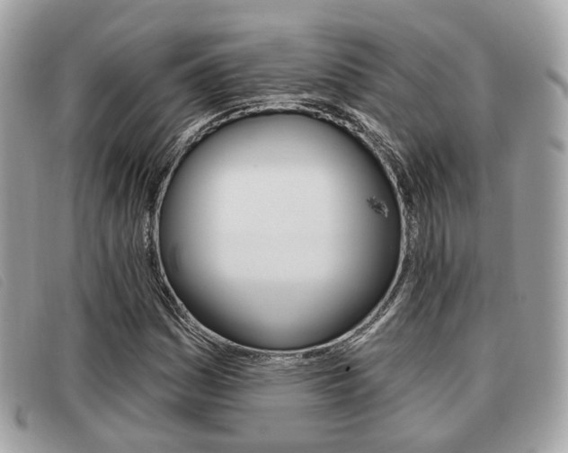 X0000091531161200708170944