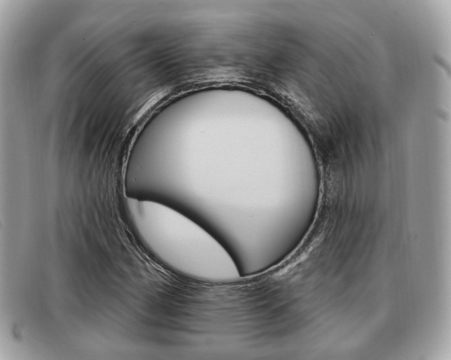 X0000091531162200708170944