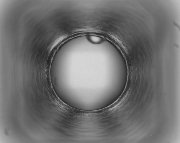X0000091531163200708170944