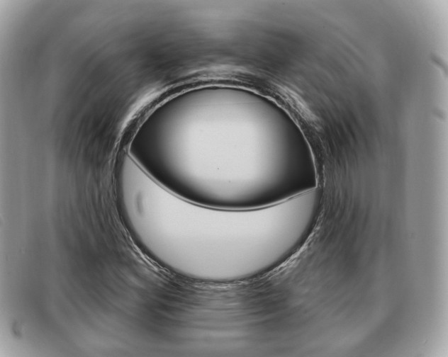 X0000091531164200708170944