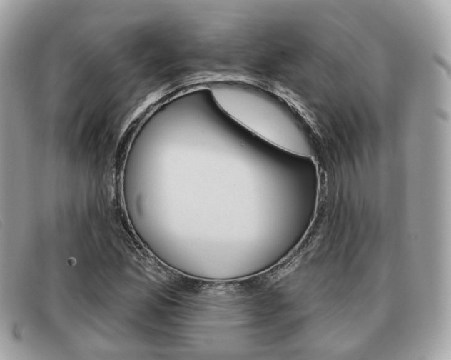 X0000091531165200708170944