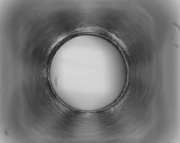 X0000091531166200708170944