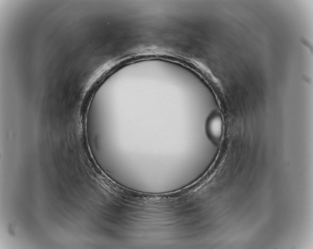 X0000091531167200708170944