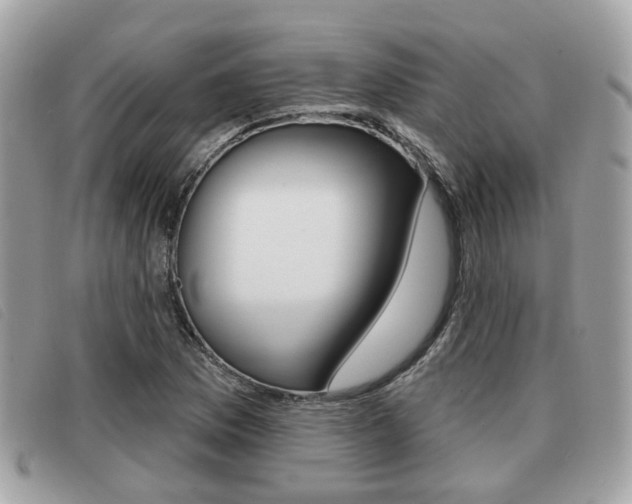 X0000091531169200708170944
