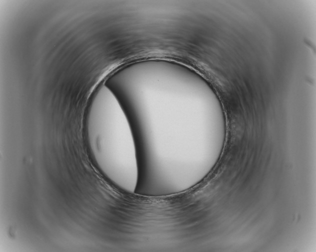 X0000091531170200708170944