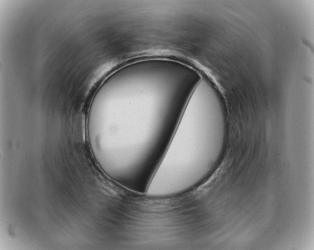 X0000091531171200708170944