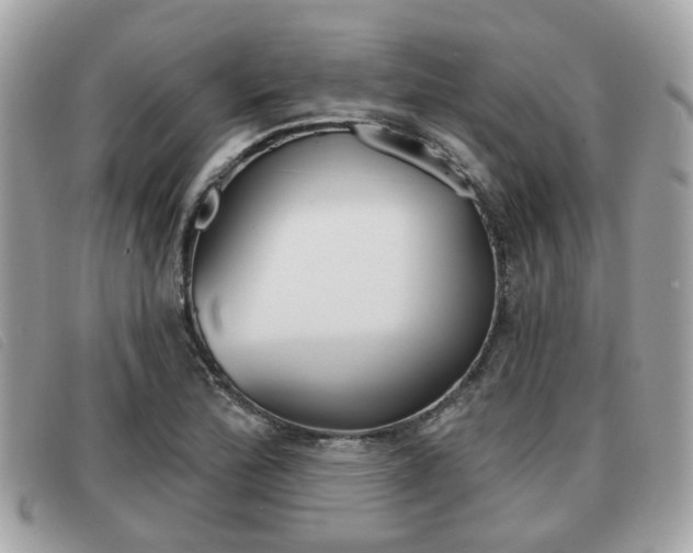X0000091531172200708170944