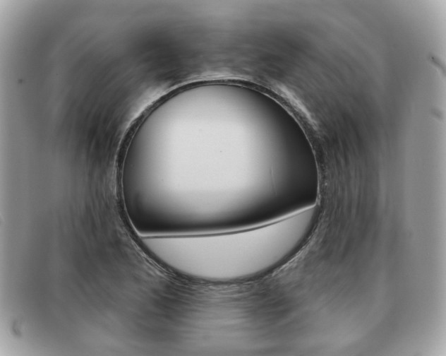 X0000091531173200708170944