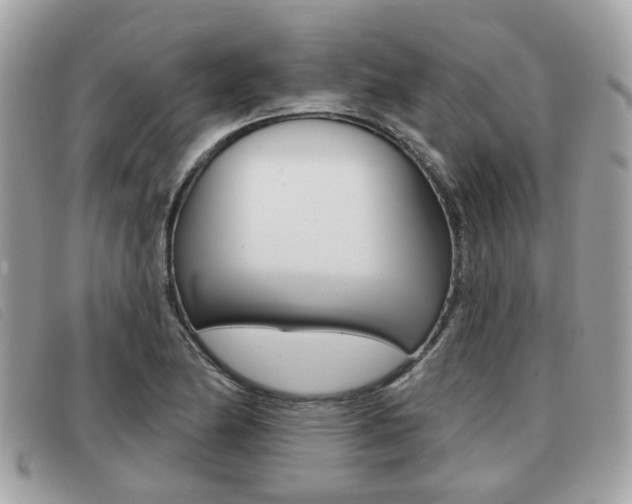 X0000091531174200708170944