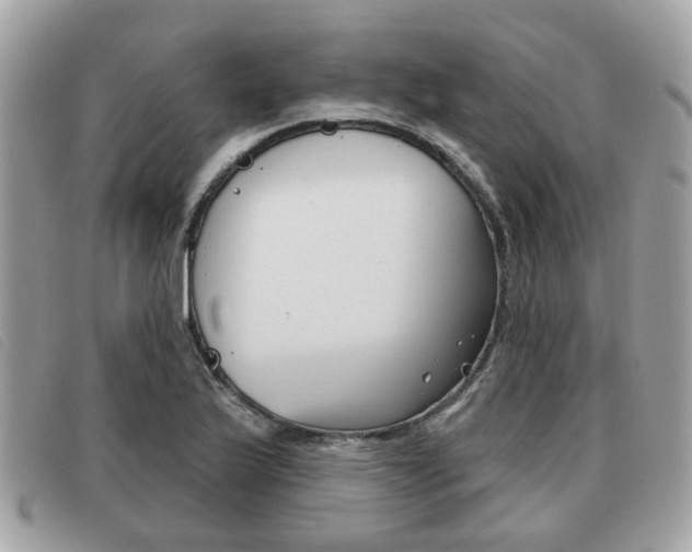 X0000091531175200708170944