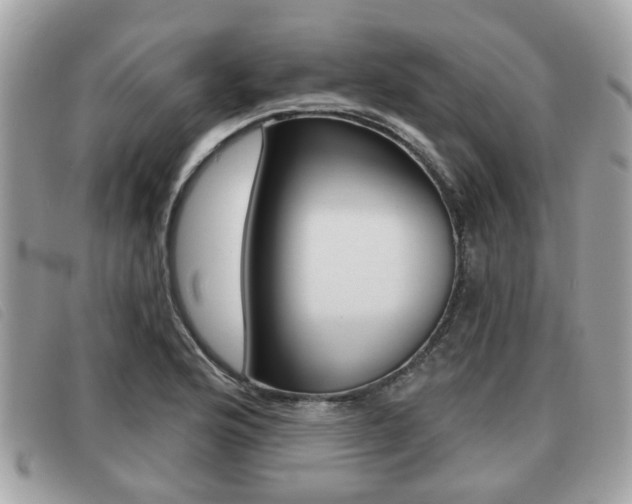 X0000091531176200708170944