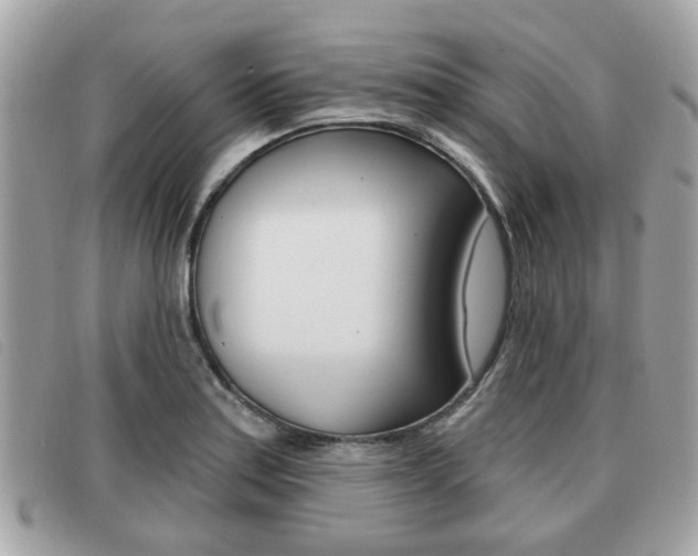X0000091531179200708170944