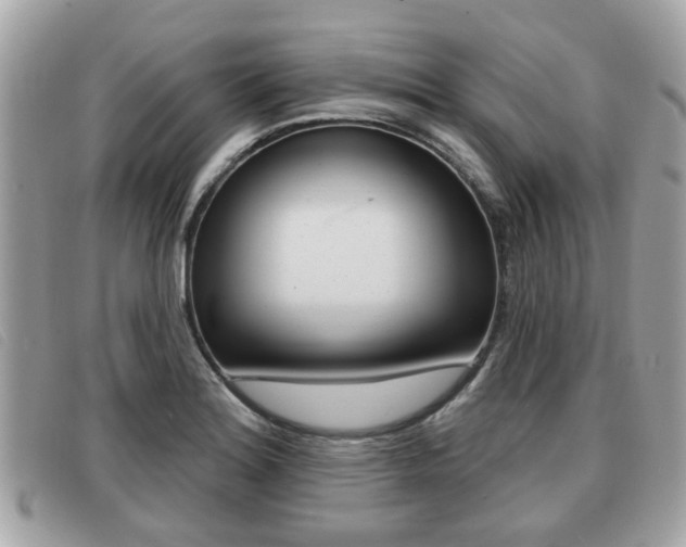 X0000091531180200708170943