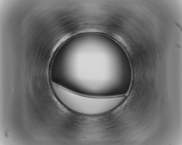 X0000091531181200708170943