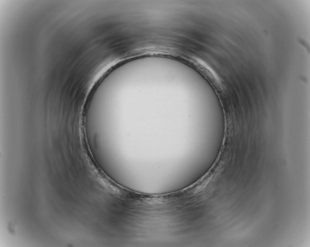 X0000091531182200708170943