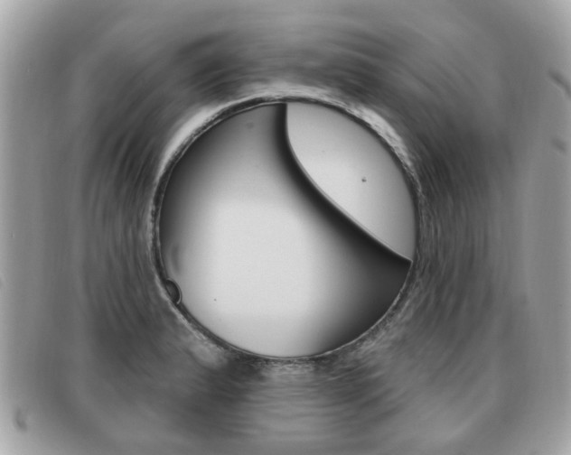 X0000091531183200708170943