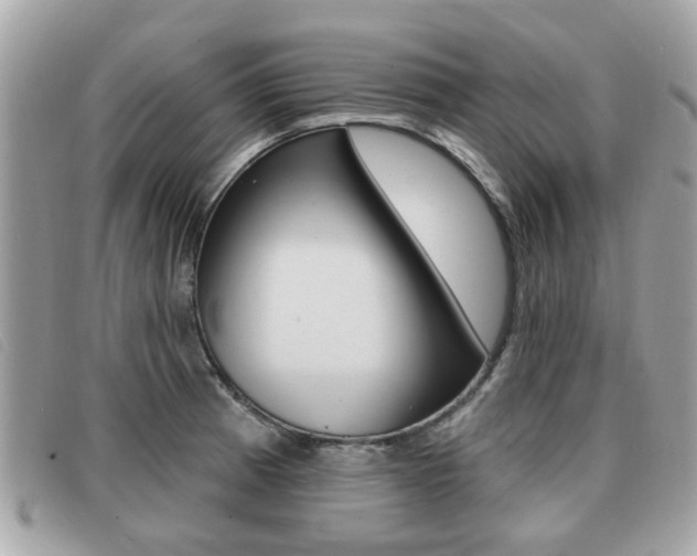 X0000091531185200708170943