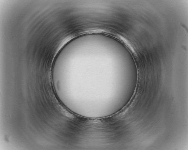 X0000091531186200708170943