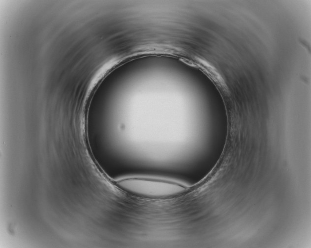 X0000091531188200708170943