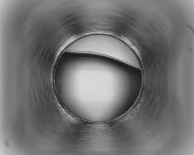 X0000091531189200708170943