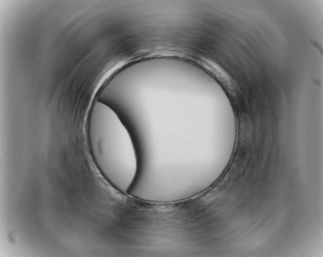 X0000091531190200708170943