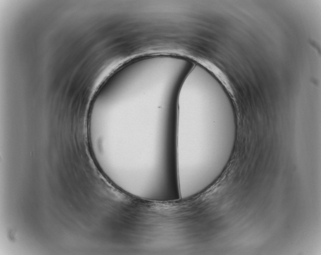 X0000091531191200708170943
