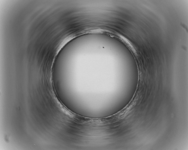 X0000091531194200708170943