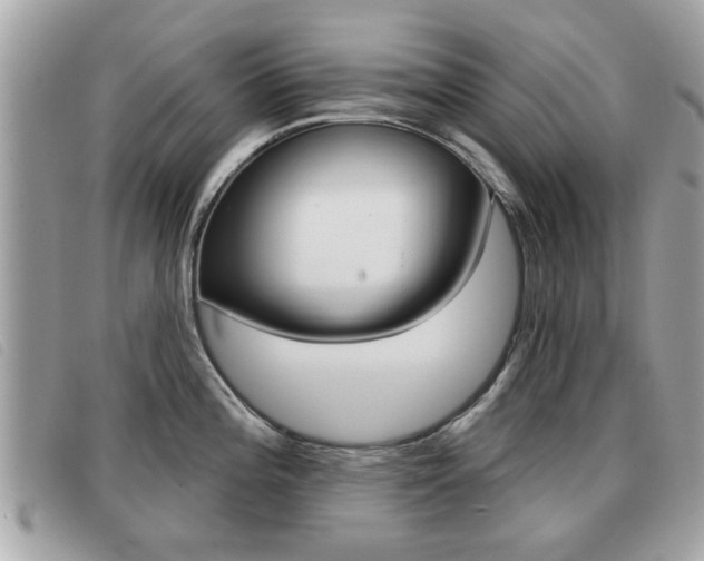 X0000091531196200708170943
