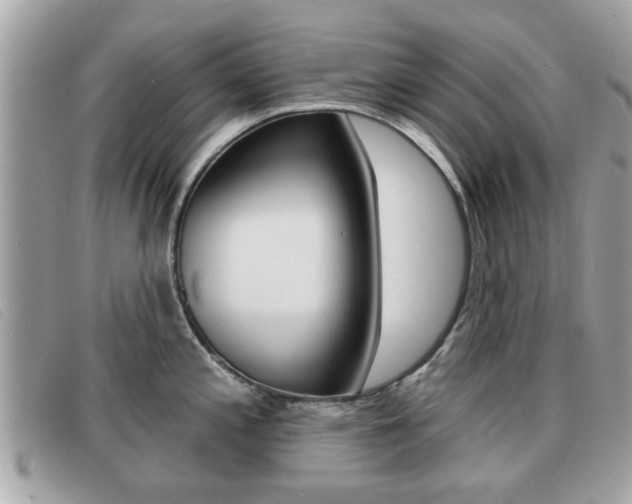 X0000091531197200708170943