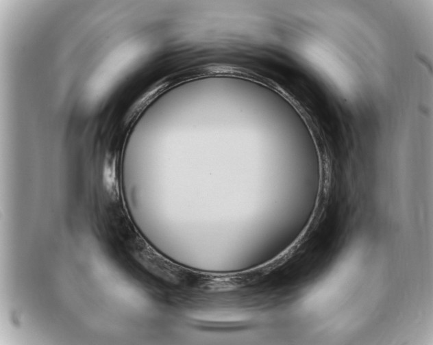 X0000091531198200708170943
