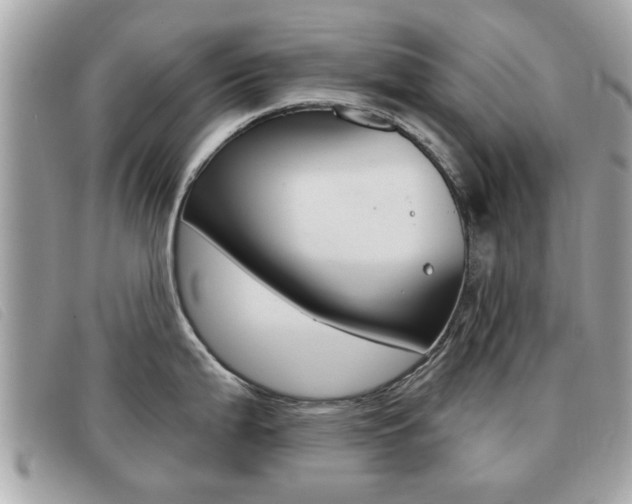 X0000091531199200708170943