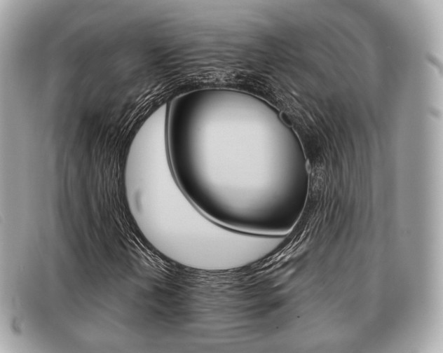 X0000091531202200708170943