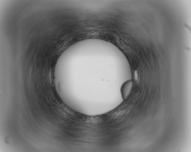 X0000091531203200708170943