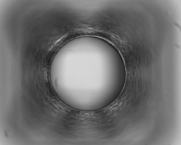 X0000091531205200708170943