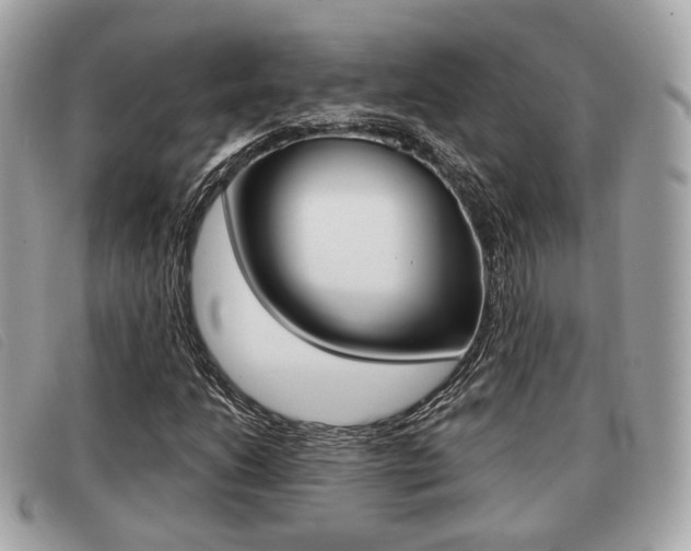 X0000091531206200708170943