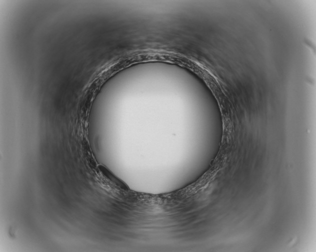 X0000091531207200708170943