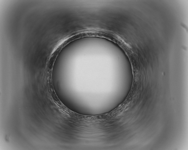 X0000091531208200708170943