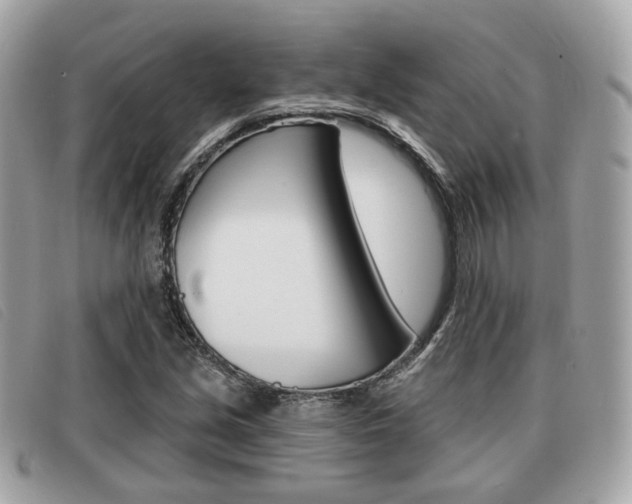 X0000091531213200708170943