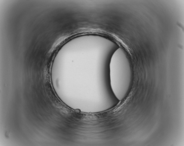 X0000091531215200708170943