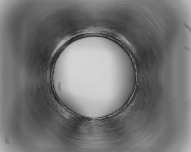 X0000091531216200708170943