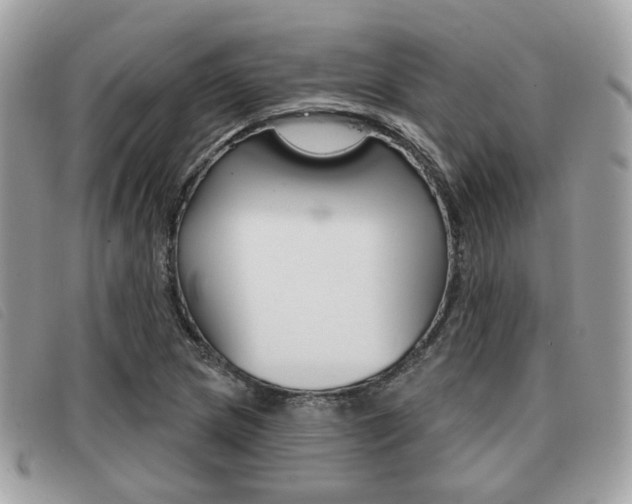 X0000091531217200708170943