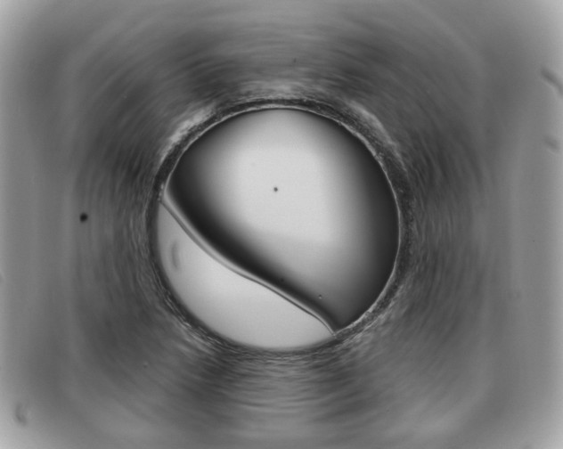 X0000091531218200708170943