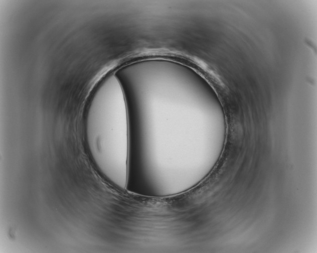 X0000091531221200708170943