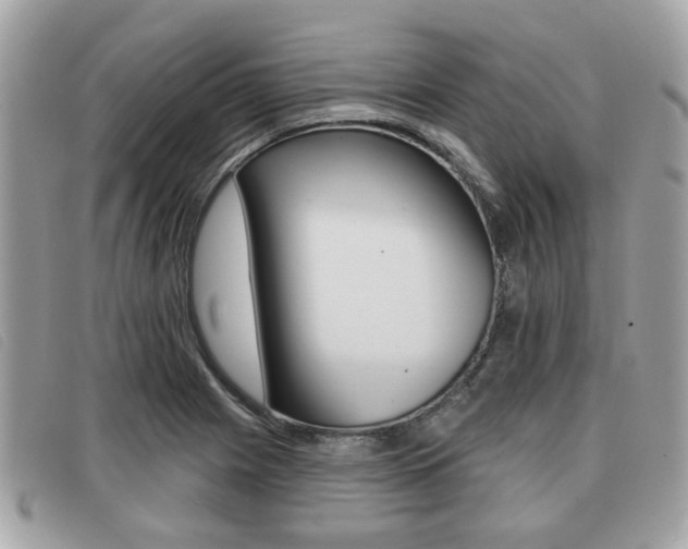 X0000091531225200708170943