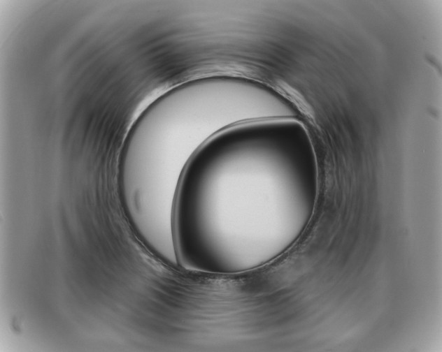 X0000091531226200708170943