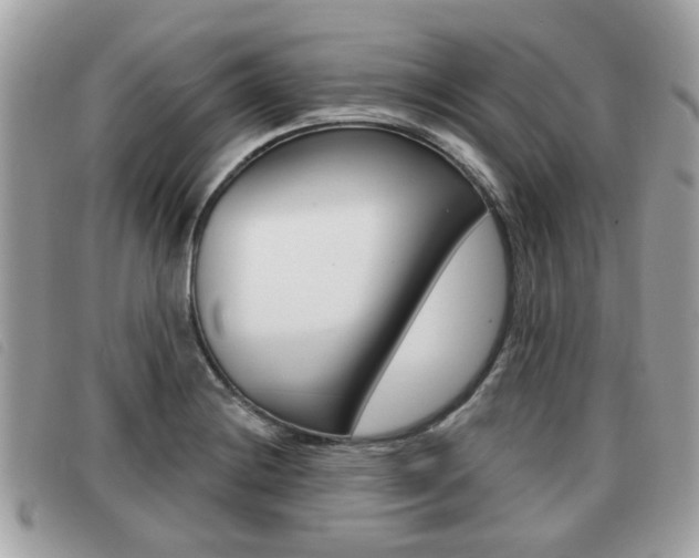 X0000091531228200708170943