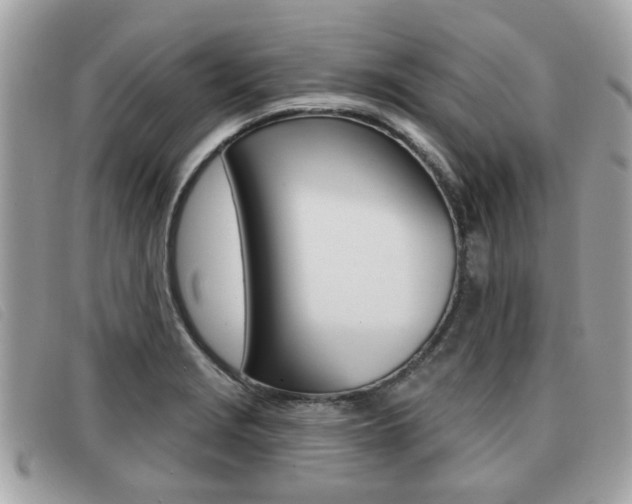 X0000091531229200708170943