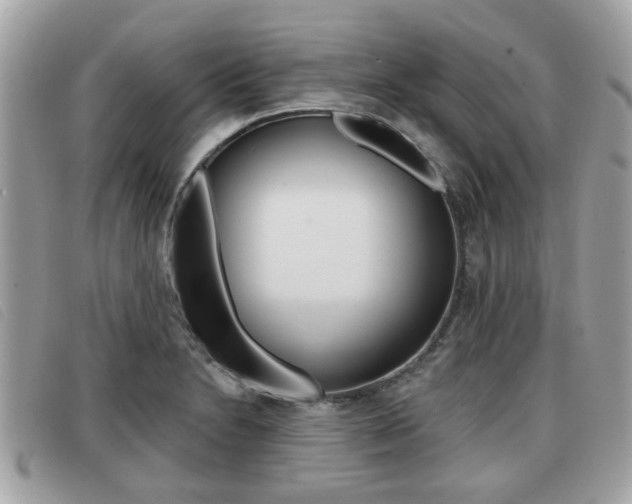 X0000091531230200708170943