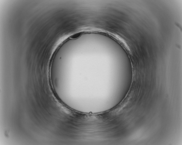X0000091531231200708170943